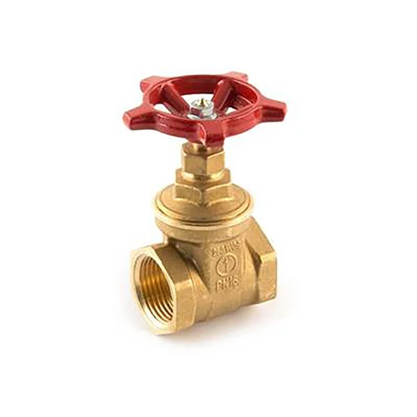 1 1/2" Female Iron British Standard Gatevalve
